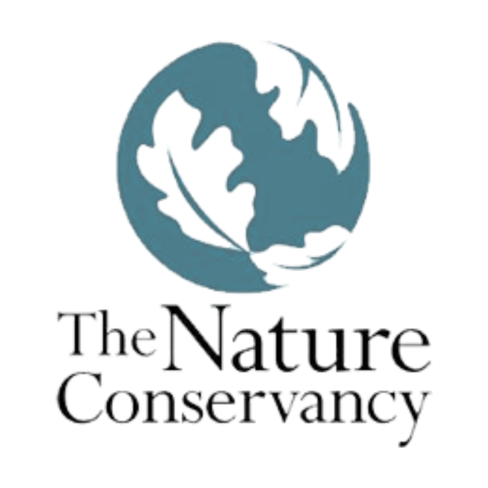 TNC Dniel Yepes Digital 1